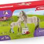 2022-lena-schleich_horse_club_hanna_rescue.jpg