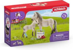 2022-lena-schleich_horse_club_hanna_rescue.jpg