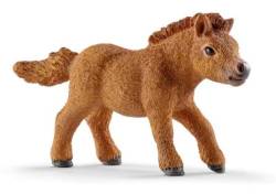 2022-lena-schleich_veulen_shetland.jpg