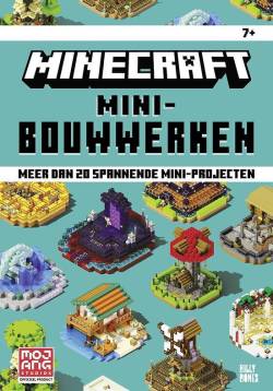 2022-wout-minecraft_mini-bouwwerken.jpg